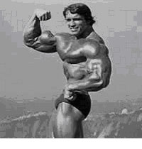 muscu4